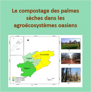 FM2022_compostage_palmes_seches