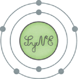 logo SyNE